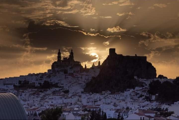 Los Girasoles Olvera Buitenkant foto