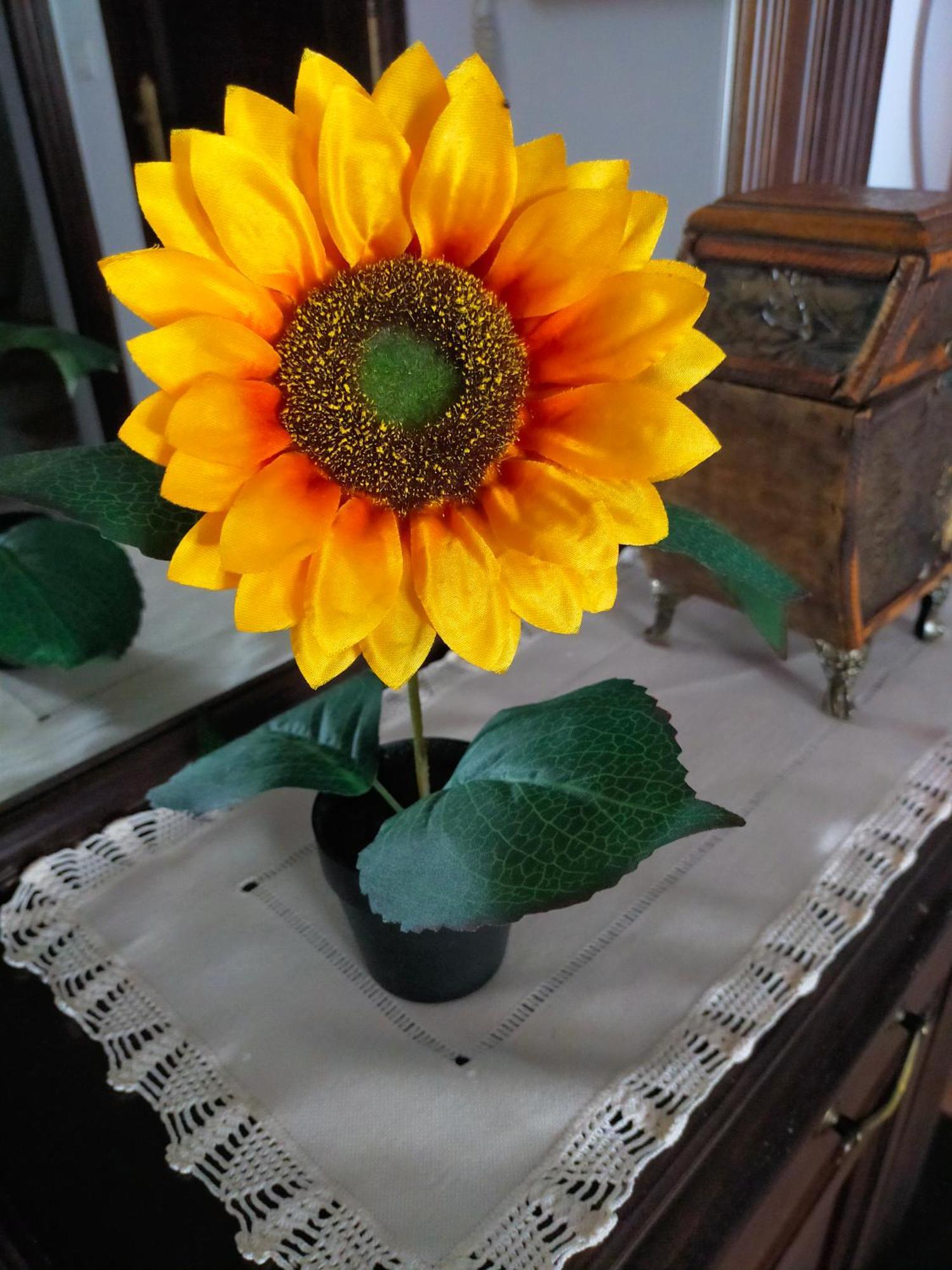Los Girasoles Olvera Buitenkant foto